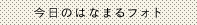 今日のはなまるフォト
